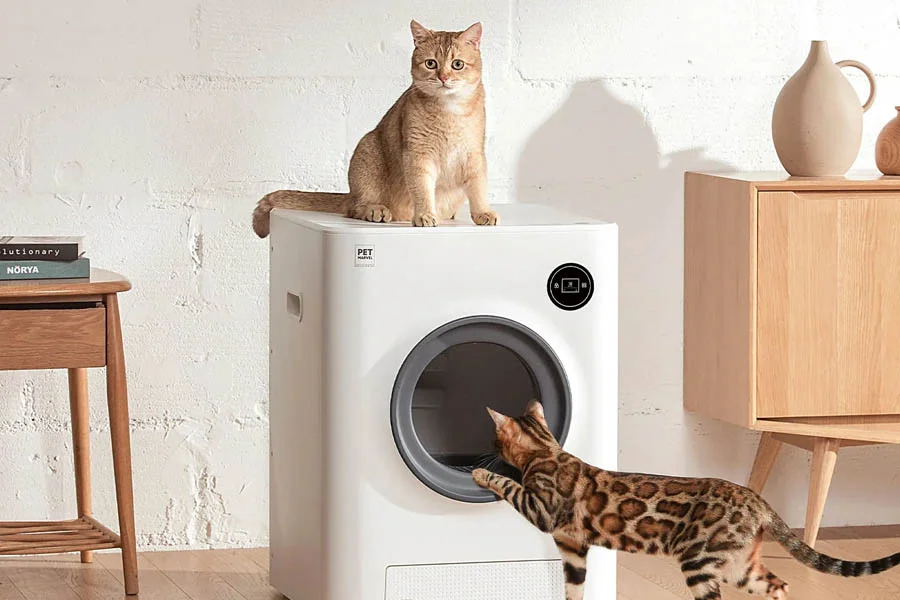 auto clean litter box