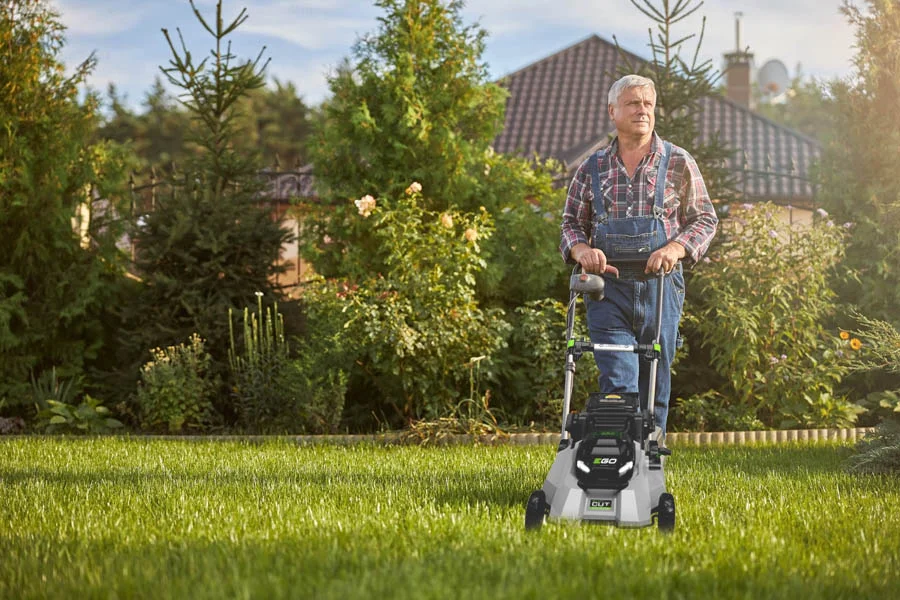 self-propelled lawnmower