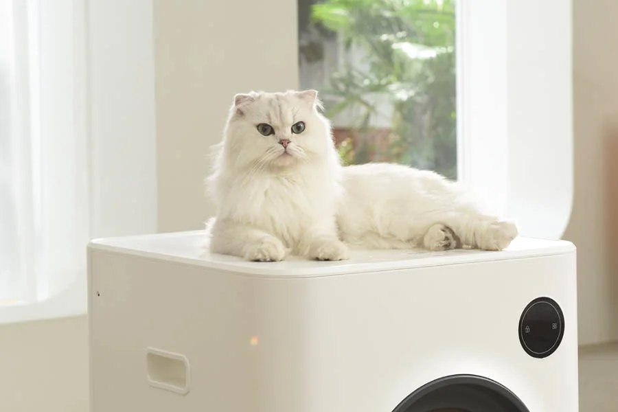 best scoop free litter box