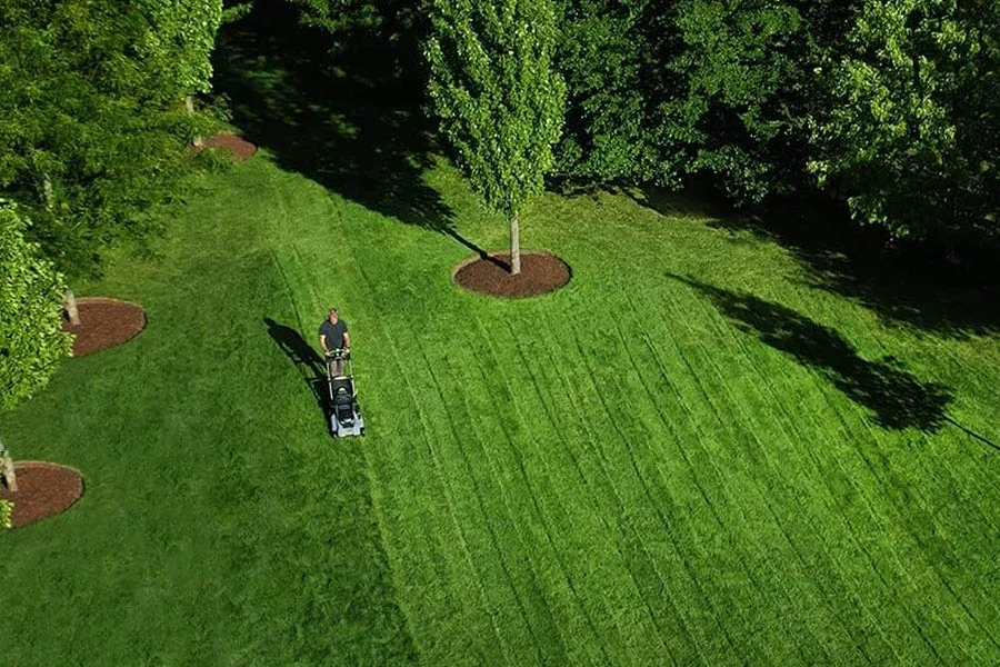 electric walk behind mower